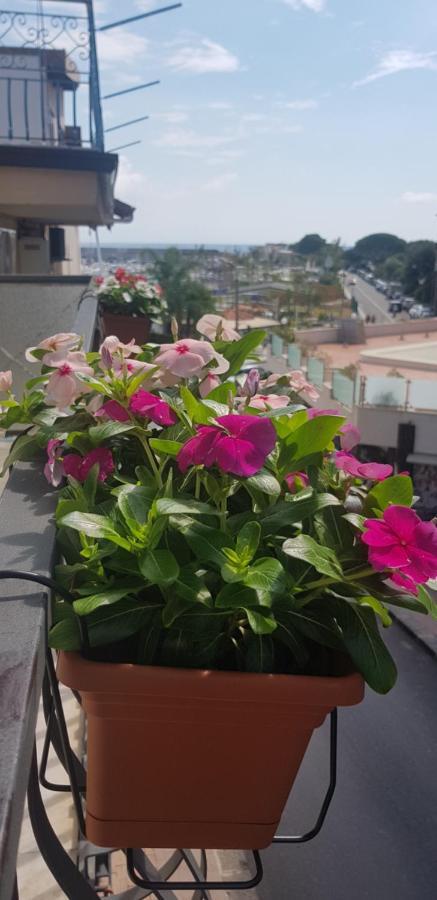 B&B La Costa Di Naxos Giardini Naxos Eksteriør billede